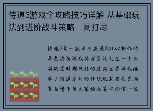 侍道3游戏全攻略技巧详解 从基础玩法到进阶战斗策略一网打尽
